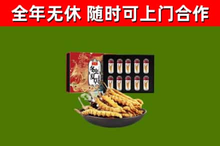 三门峡市回收冬虫夏草价格